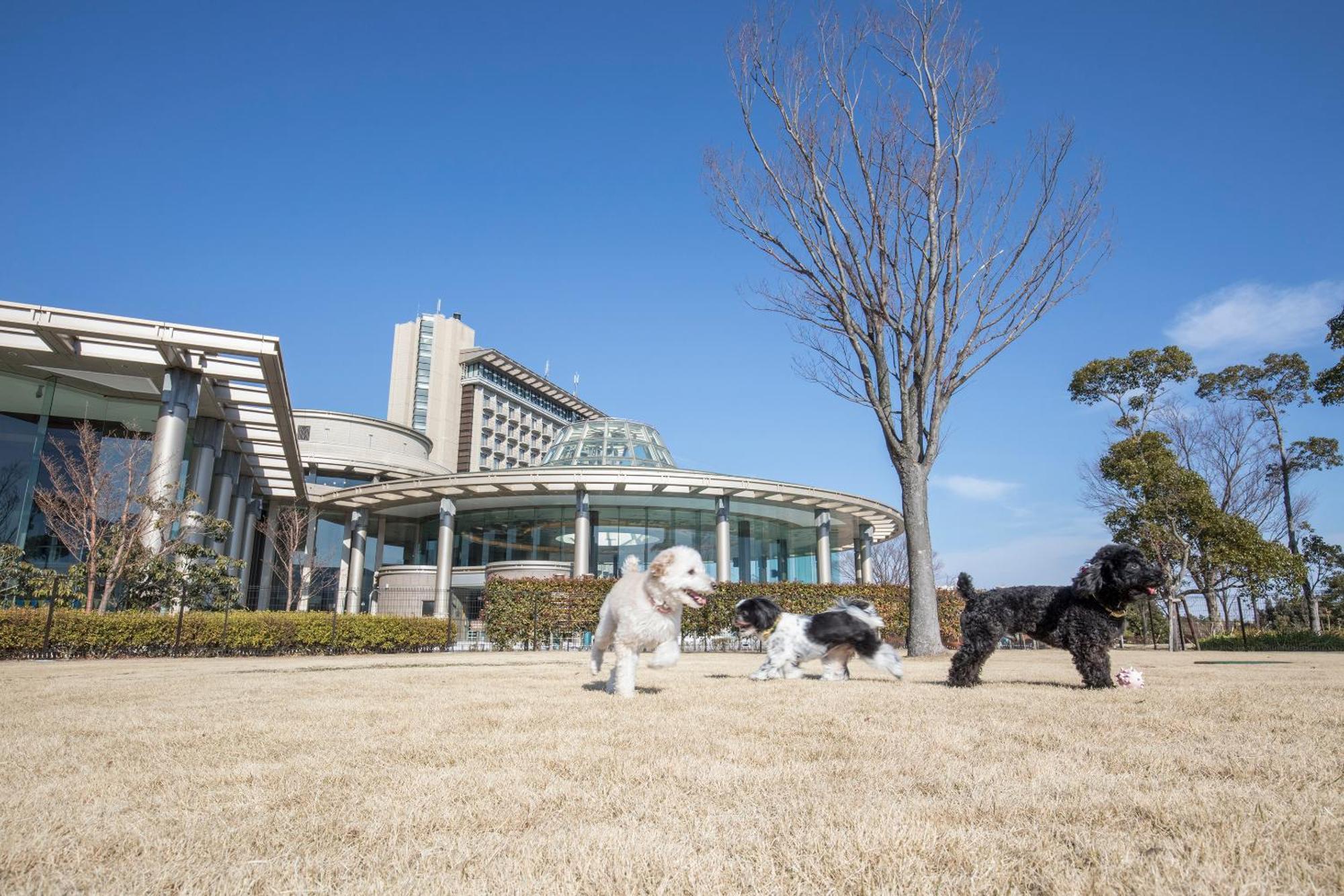 Hilton Odawara Resort & Spa Kültér fotó