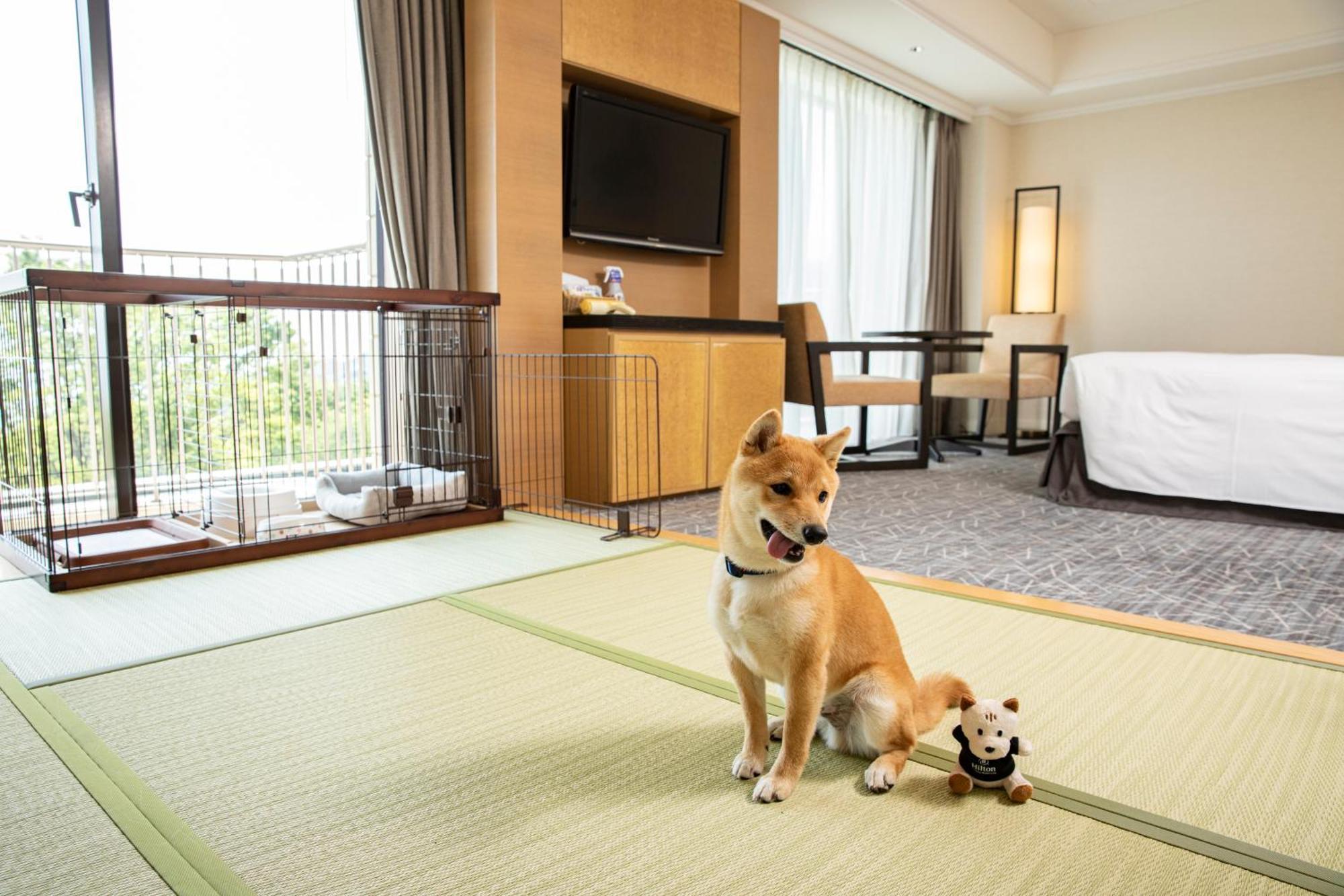 Hilton Odawara Resort & Spa Kültér fotó